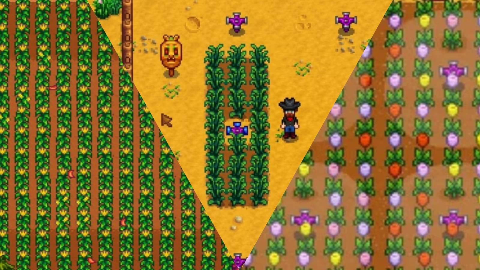 A picture split three ways of crops being grown in Stardew Valley.