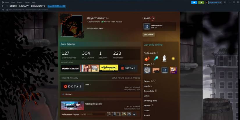 Steam Edit Profile Option Selection