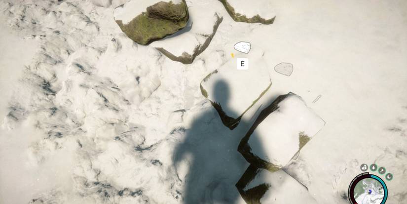 stones sons of the forest