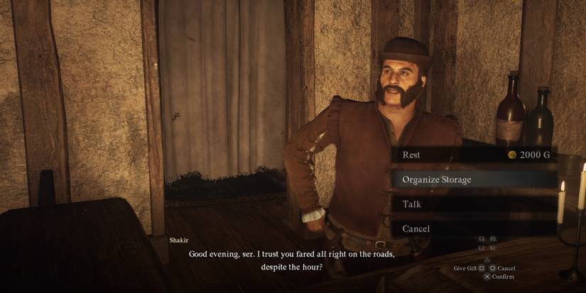 storage in dragon dogma 2