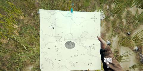 The Forest Beached Cove On Map