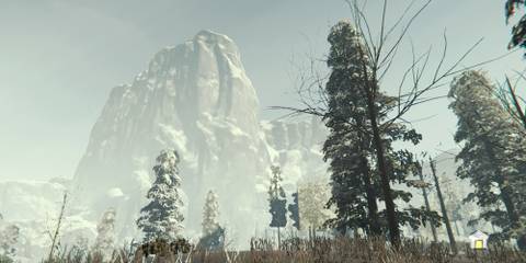 The Snow Biome In The Forest