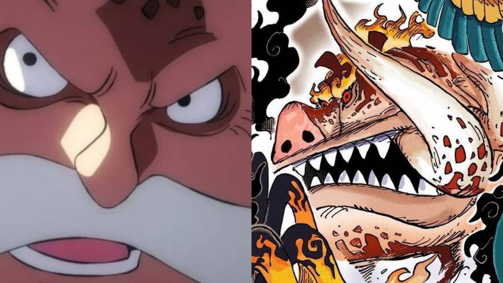 topman warcury hoki one piece