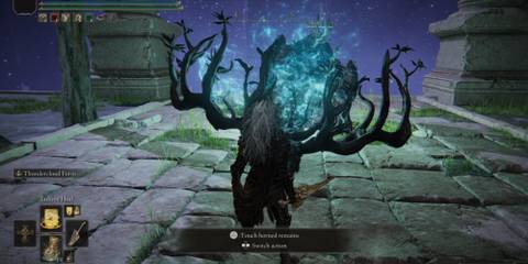 Touch Horned Remains in Elden Ring