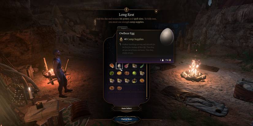 use the owlbear egg as a camp supply in baldurs gate 3