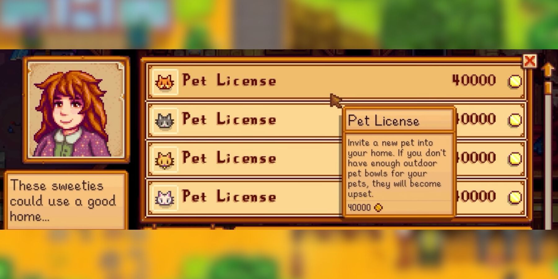 new pet licenses in stardew valley 1.6.