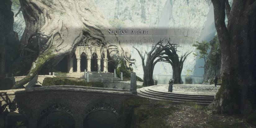 where to find the elf village and how to talk with elves in dragons dogma 2