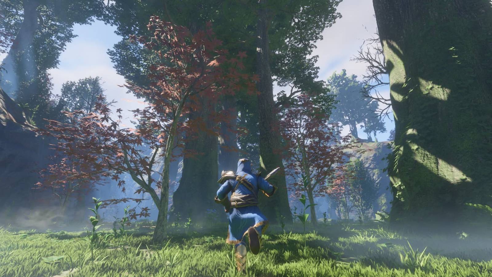 Giant Hardwood trees in Enshrouded