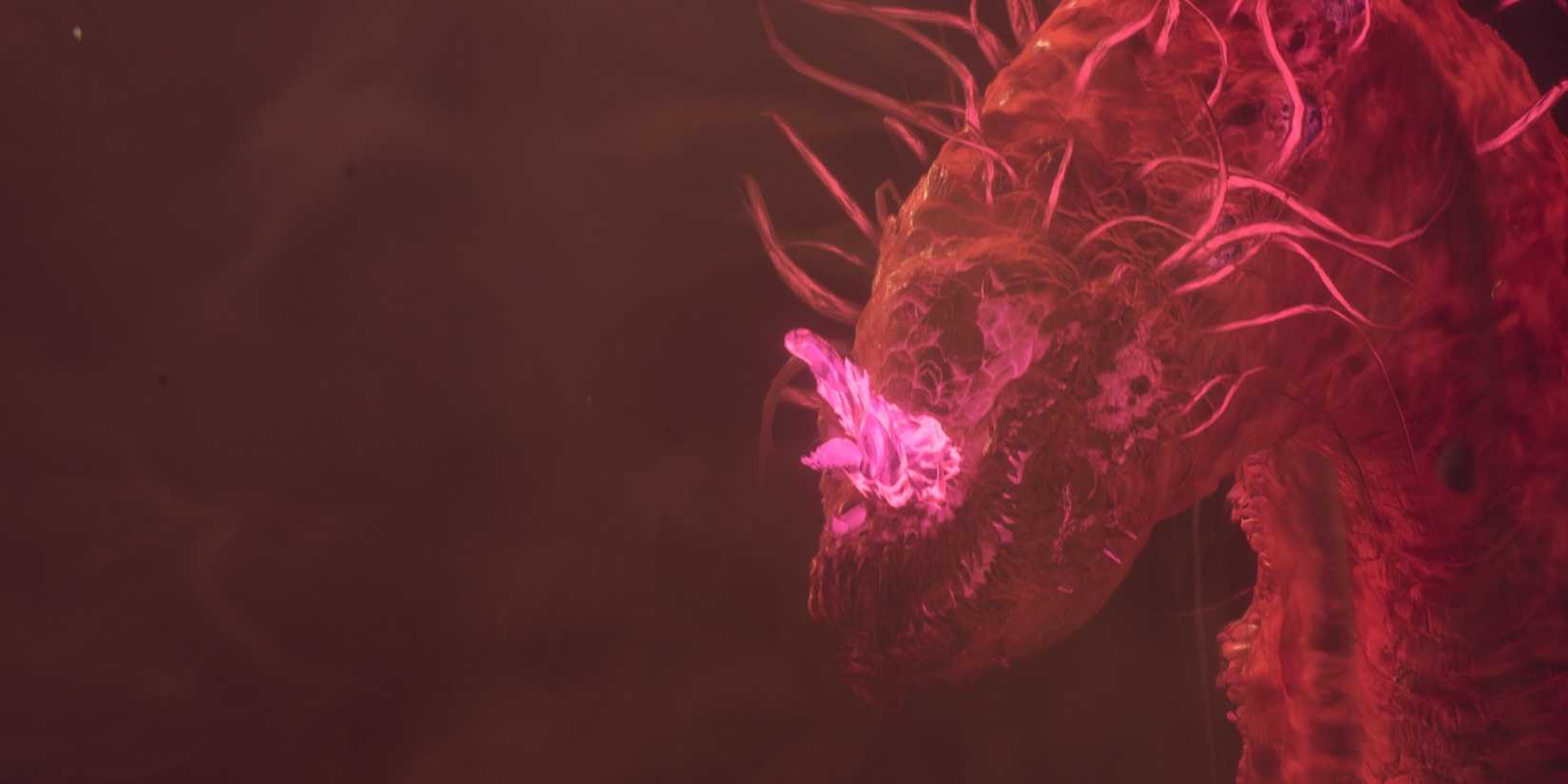 The Worm grinning in Dragon’s Dogma 2