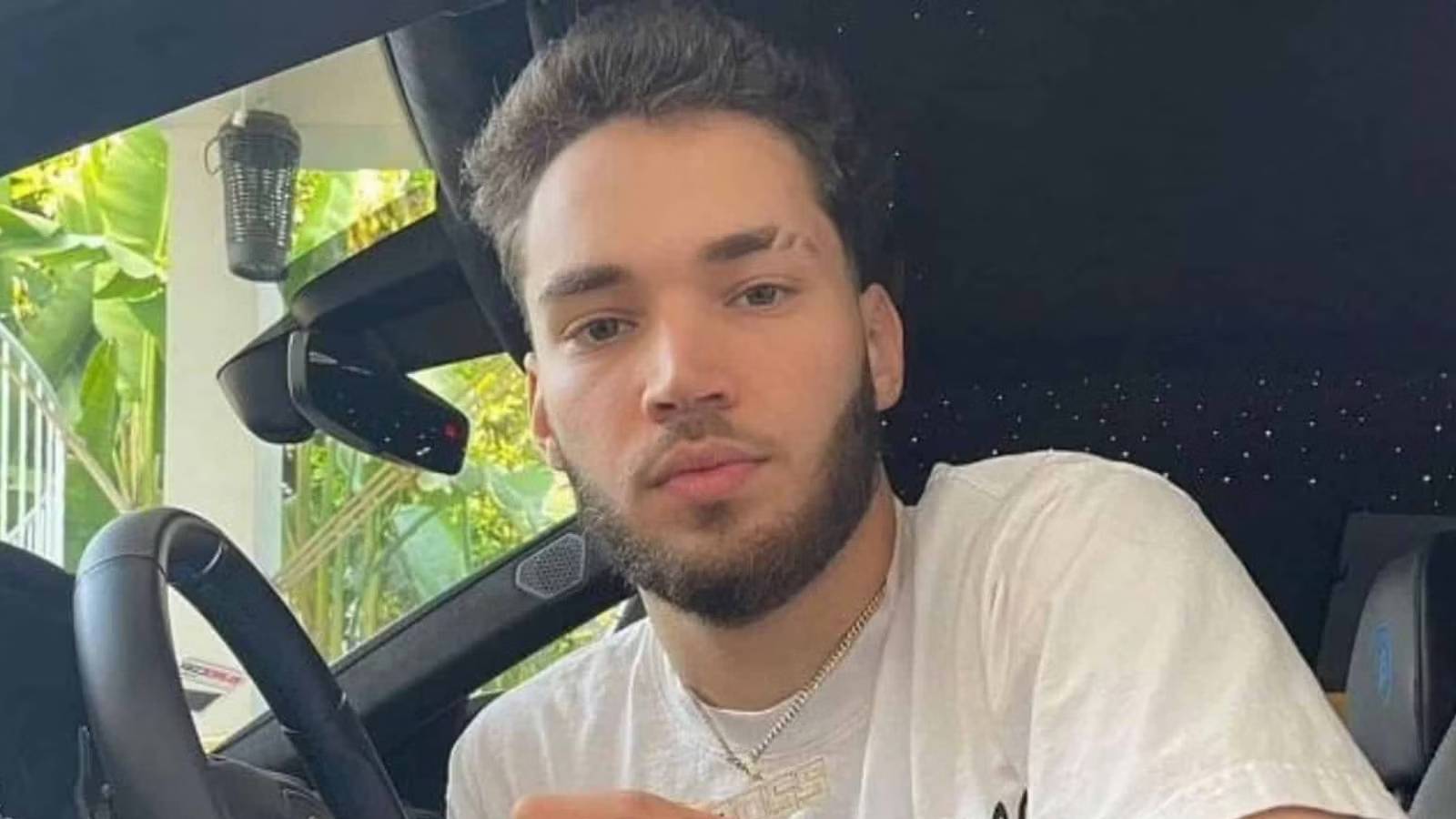 A photo of Adin Ross inside a car.