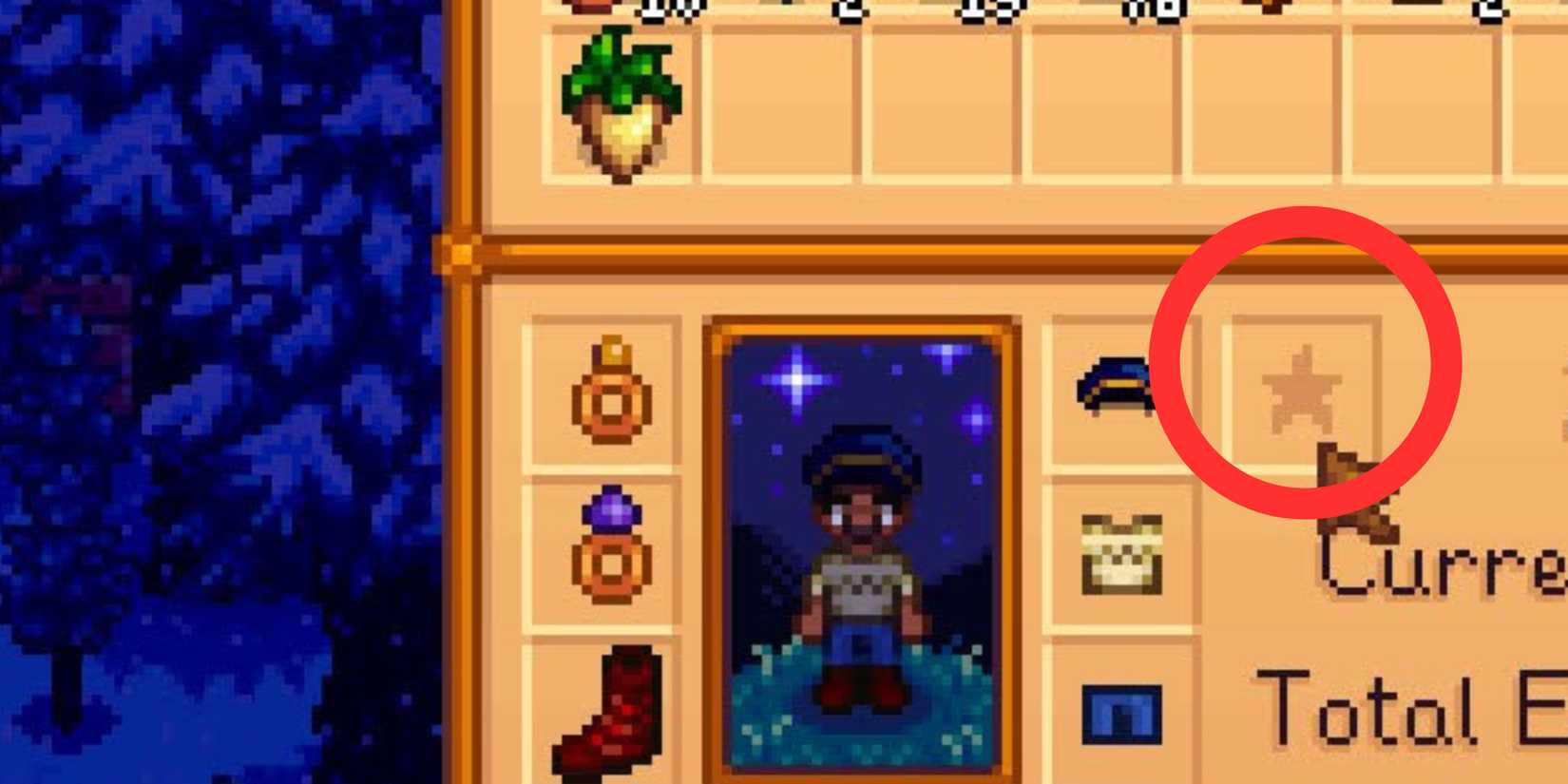 trinket slot in stardew valley