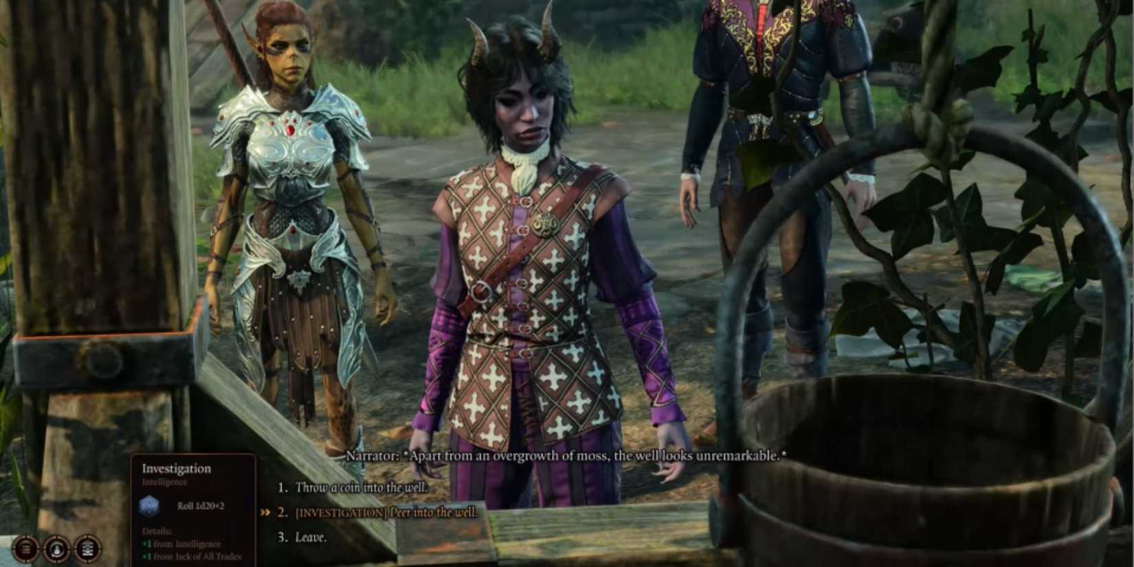 Baldur's Gate 3 Blighted Village Well