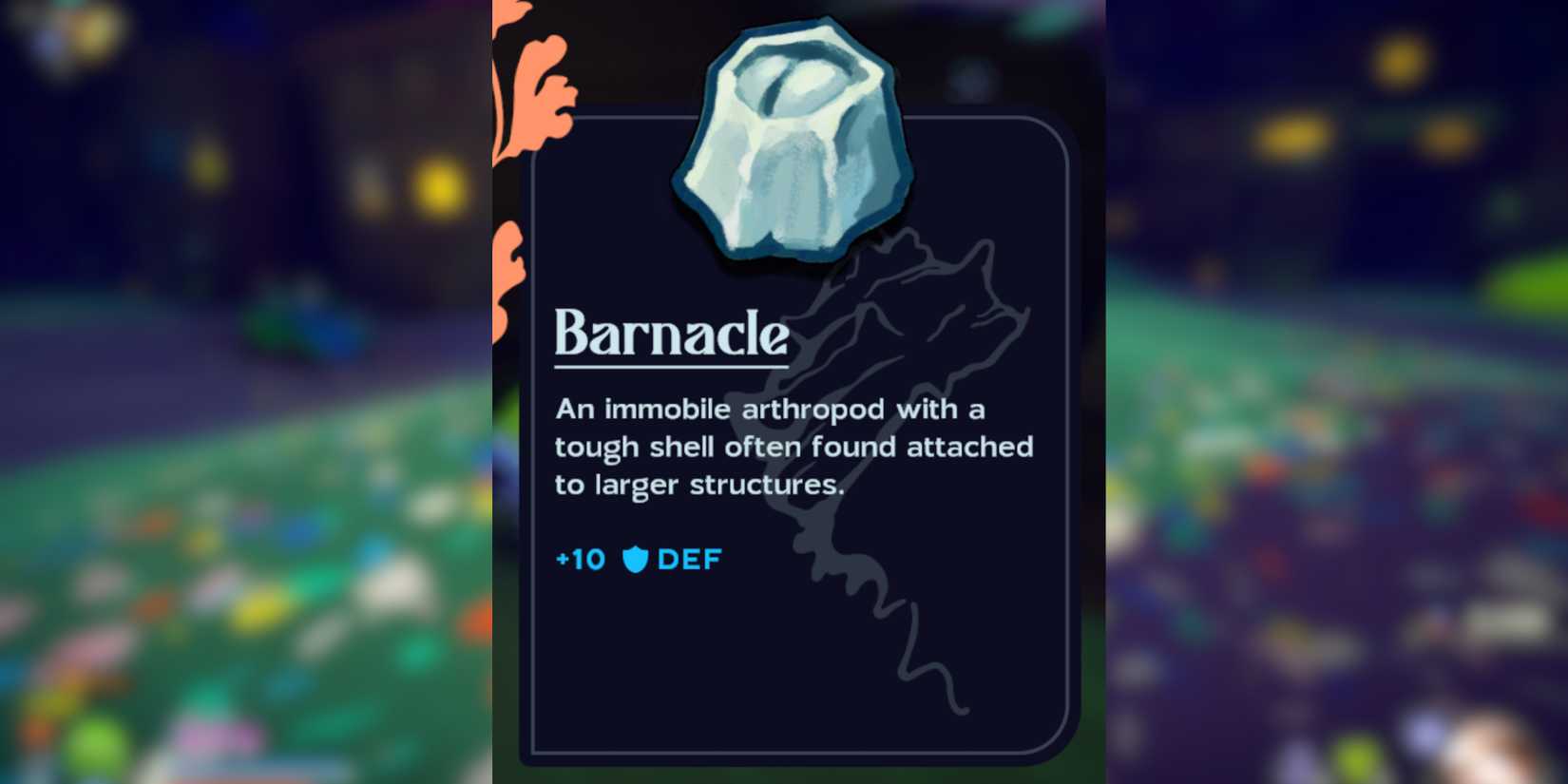 barncale stowaway in another crab's treasure