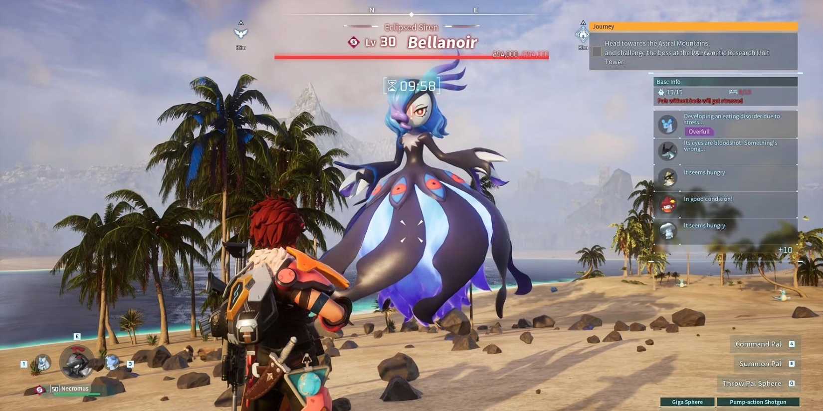 bellanoir-raid-battle