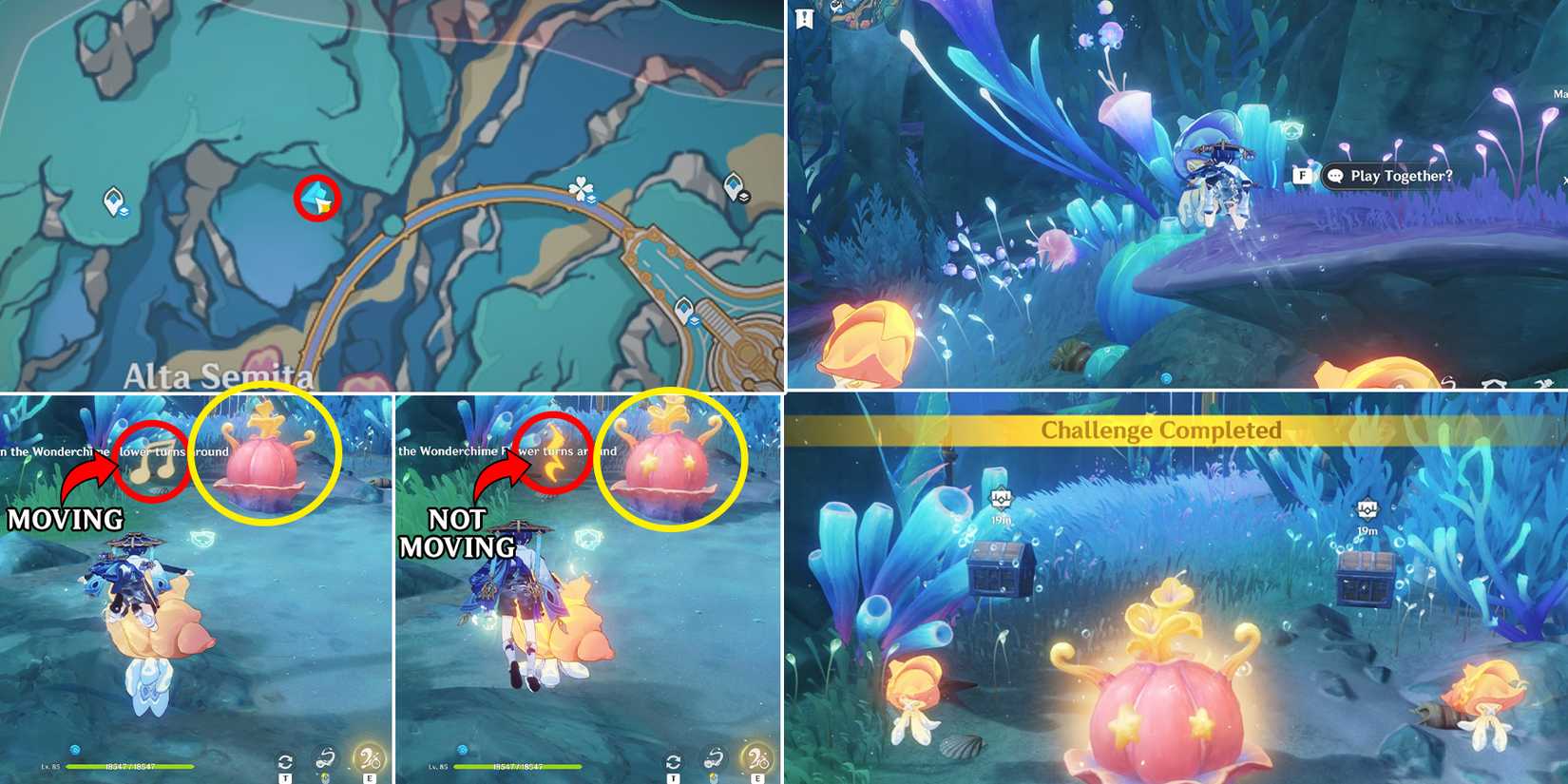 capitolium chest location 17 in genshin impact