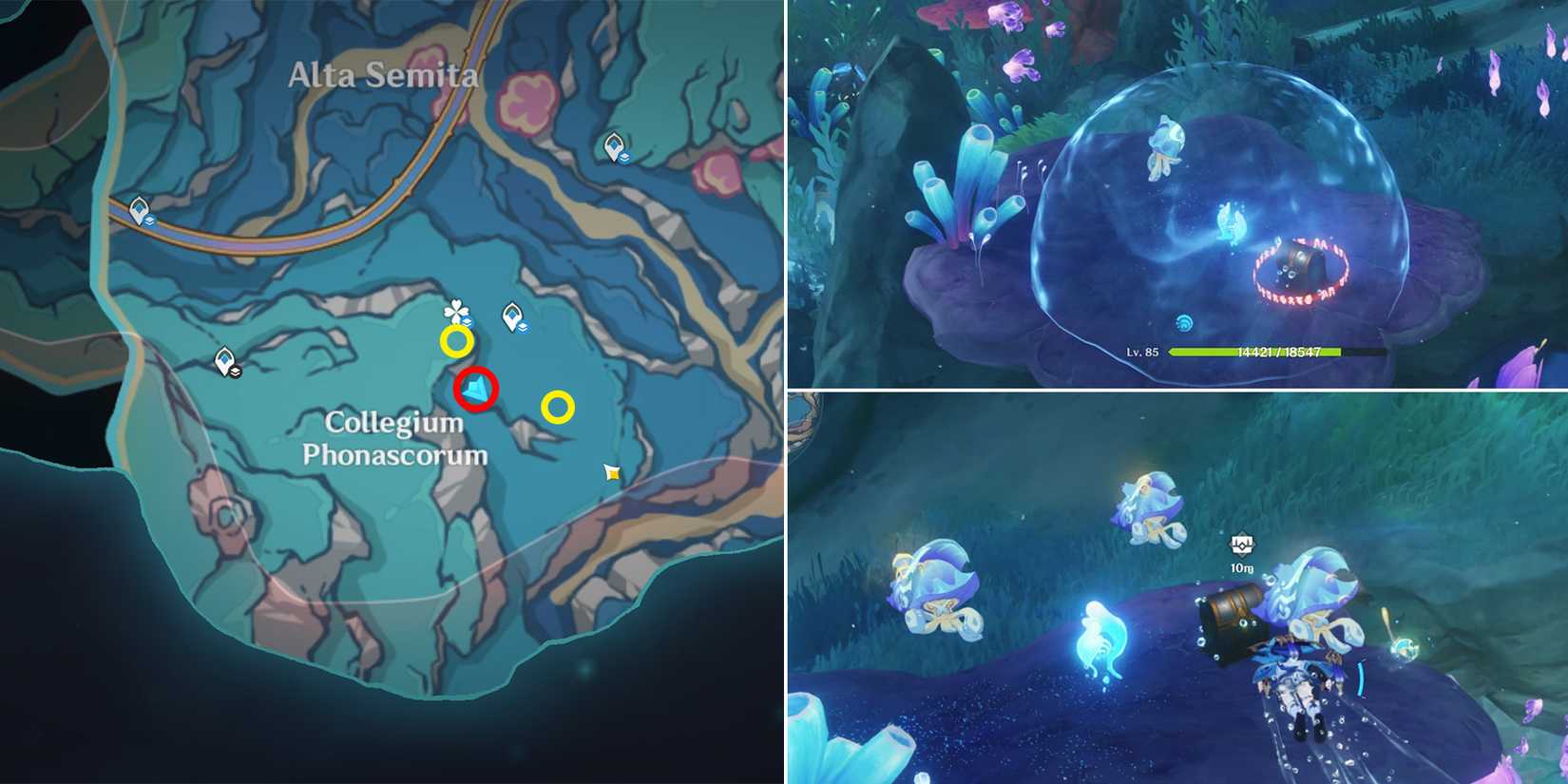 capitolium chest location 25 in genshin impact