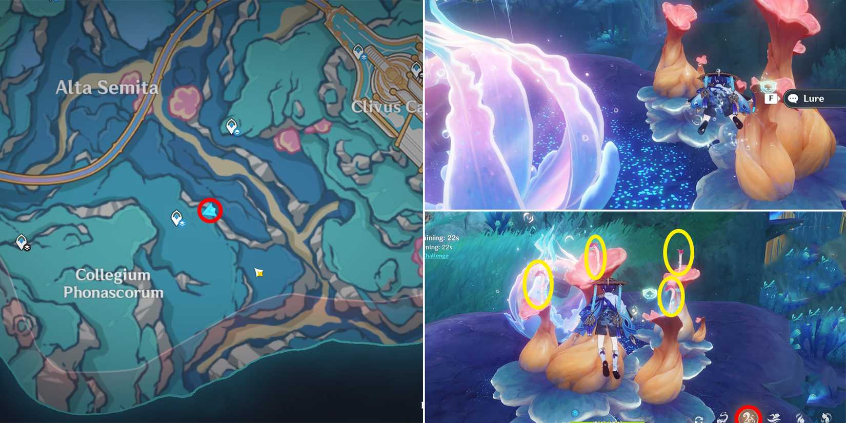 capitolium chest location 31 in genshin impact