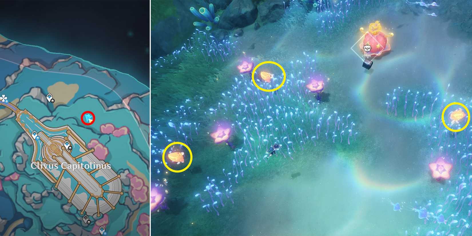 capitolium chest location 51 in genshin impact