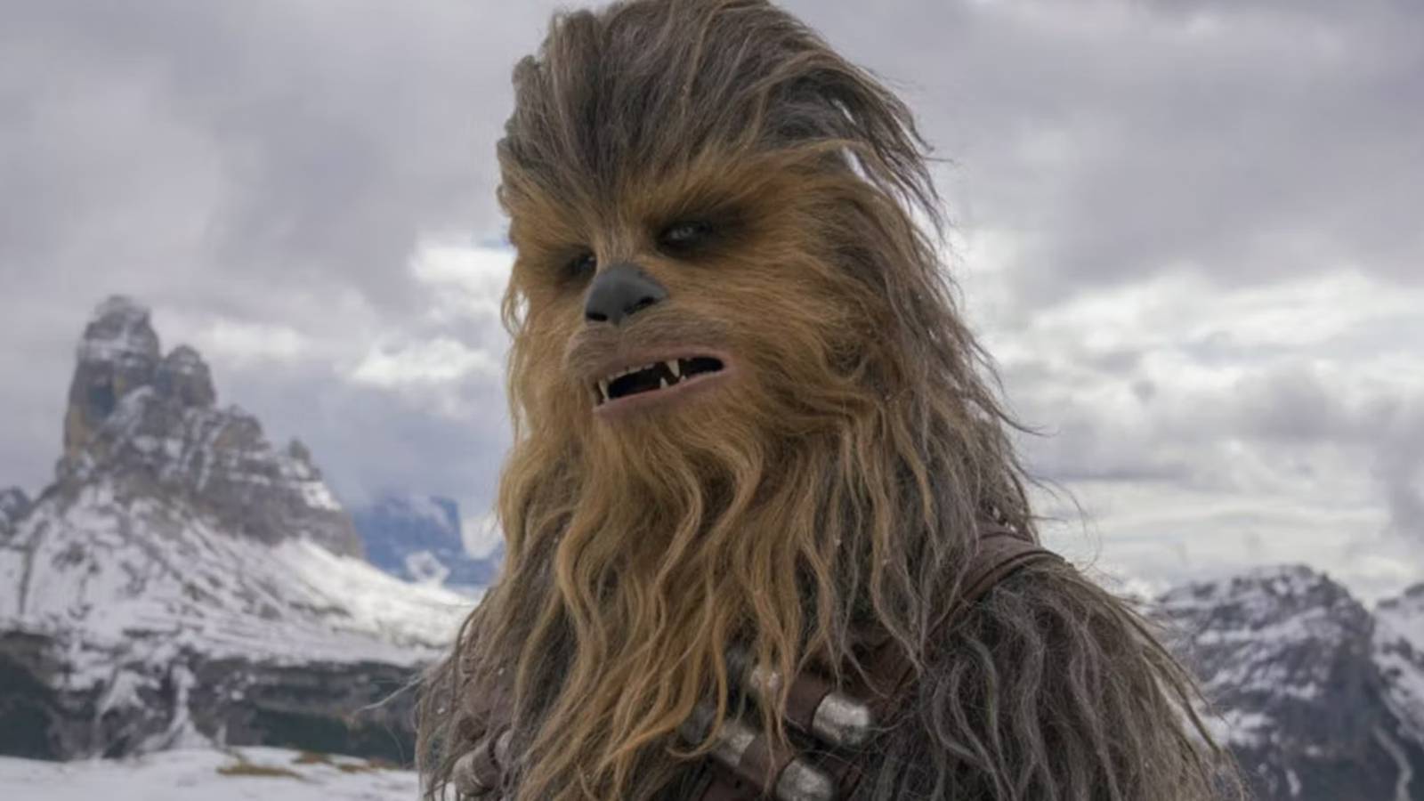 chewbacca with snowy mountains behind