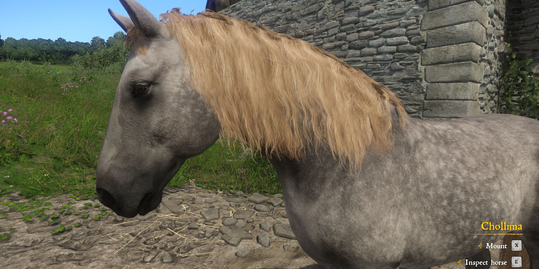 Chollima horse mount Kingdom Come: Deliverance 