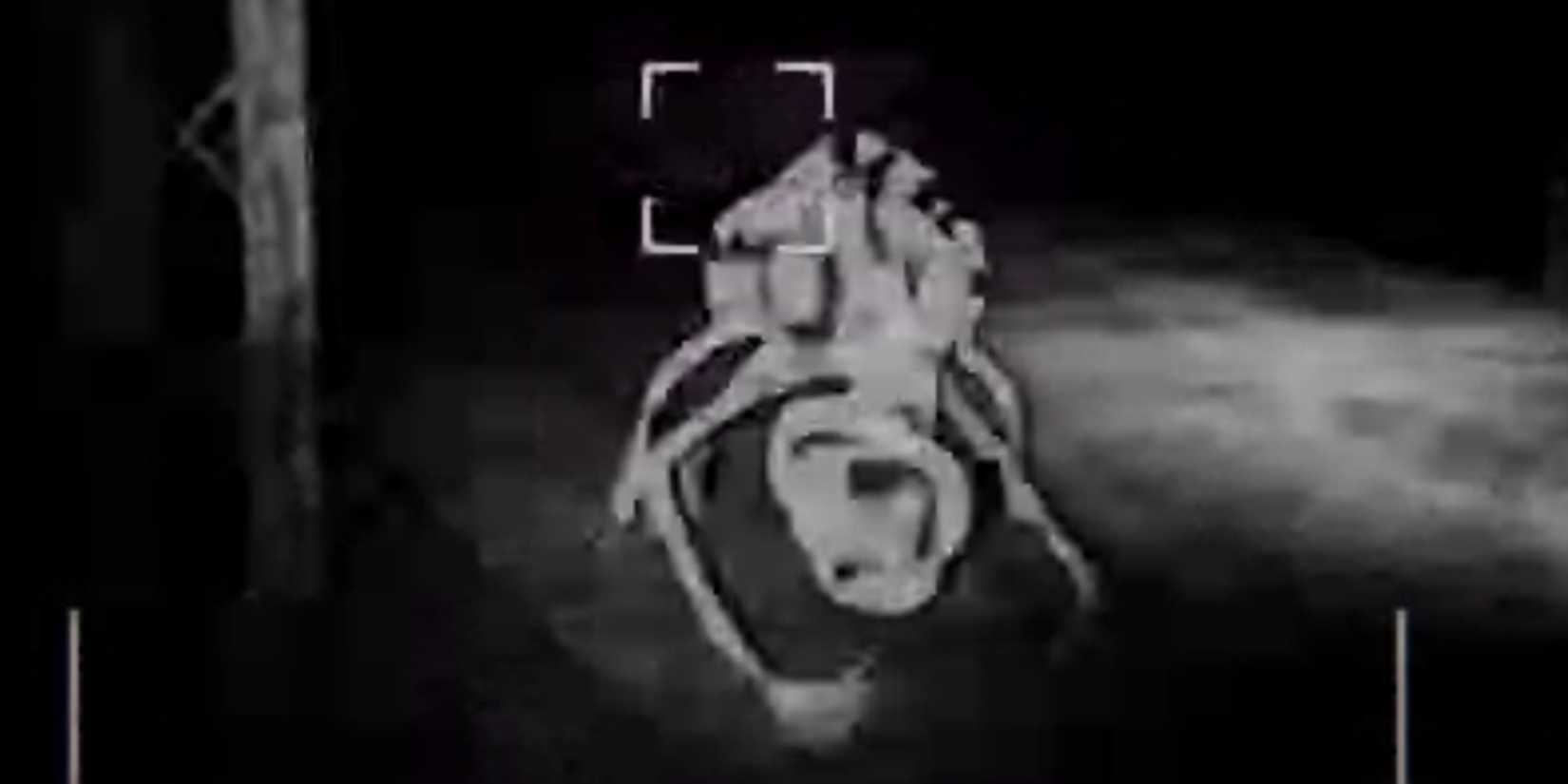 Content Warning, Ear, Monster with an ear for a head caught on camera