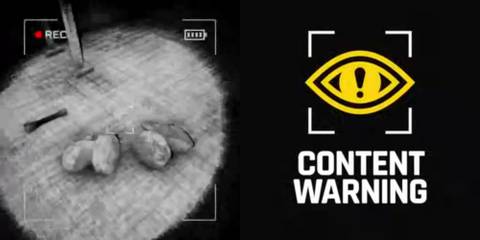 Content Warning How to Survive Floating from Animal Statue 