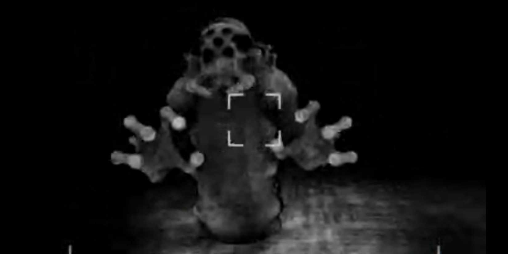 Content Warning, Larva, Centipede-like monster with hands reaching out to camera