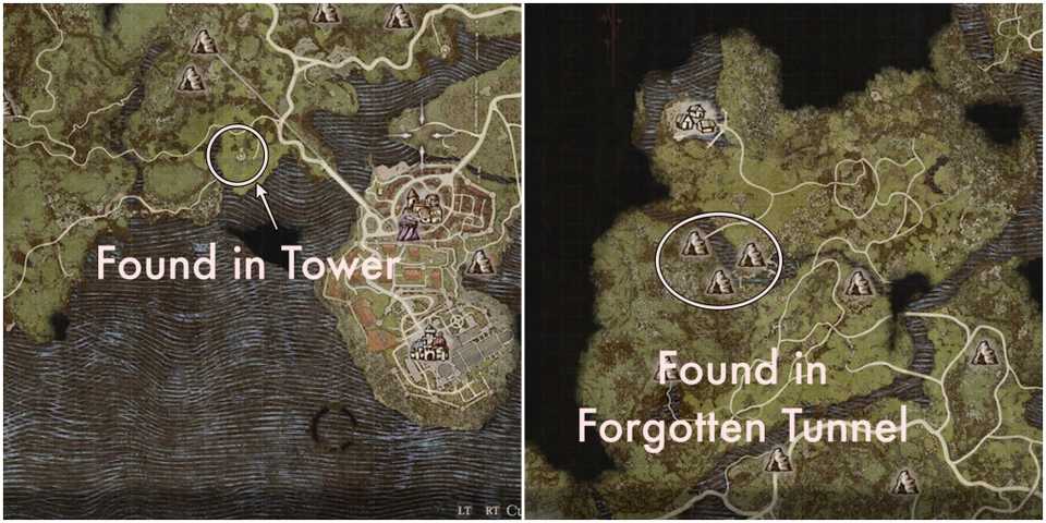 DD2-Ring-of-Awareness-Location-map