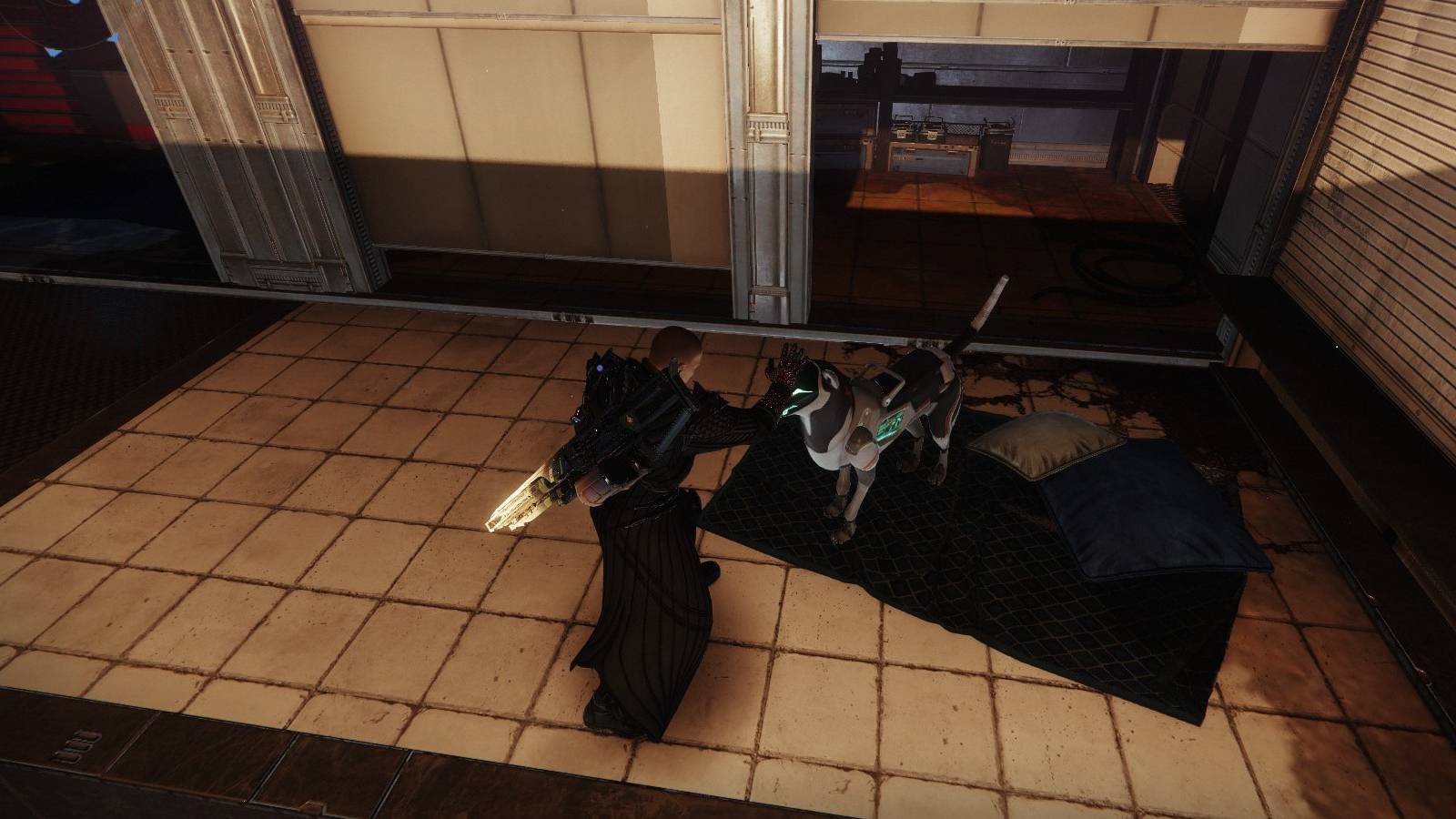 destiny 2 - guardian petting archie