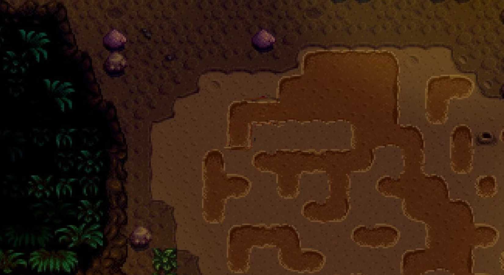 Dirt Patch in Stardew Valley