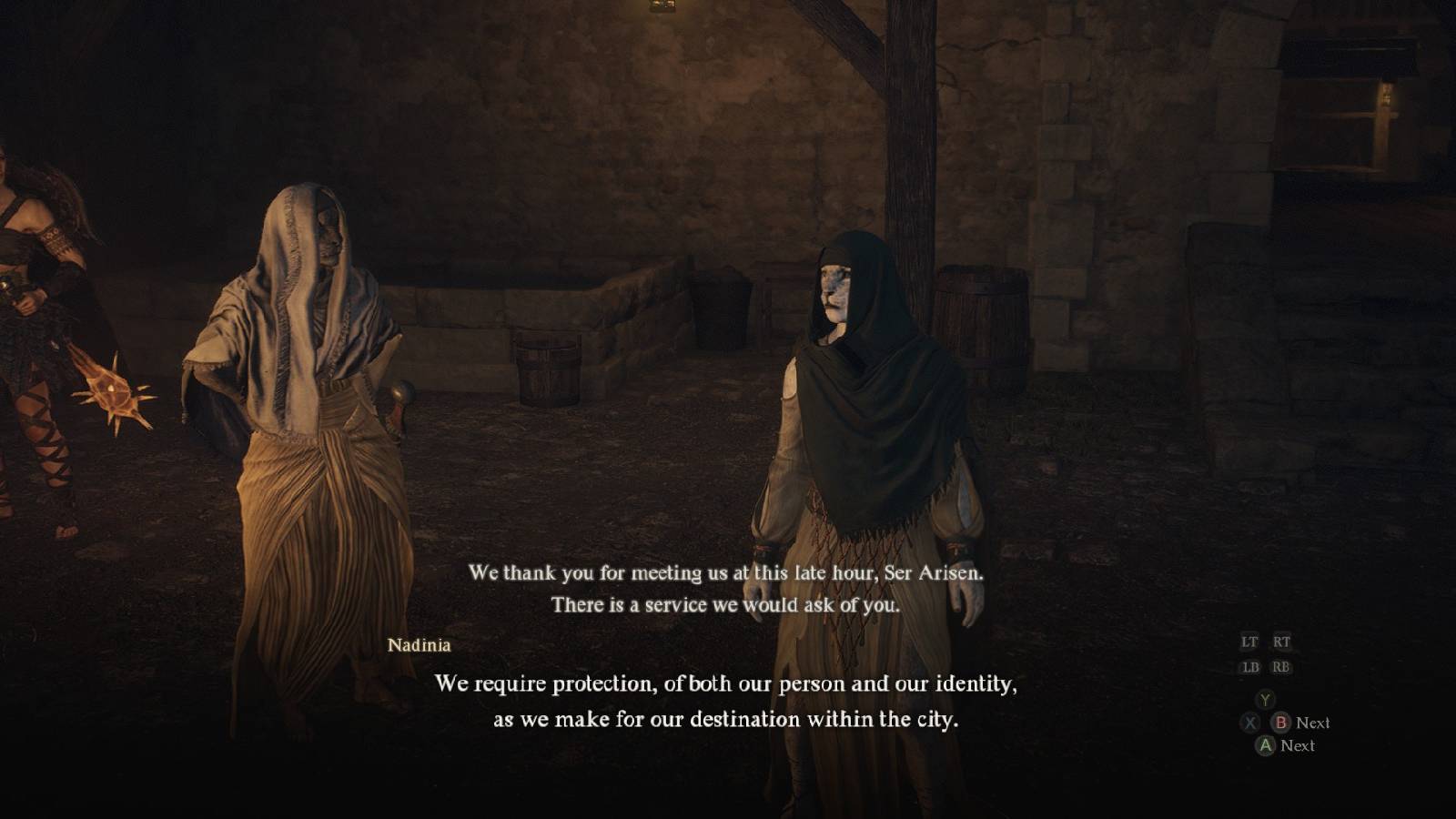 Dragon's Dogma 2 Crossing Shadow