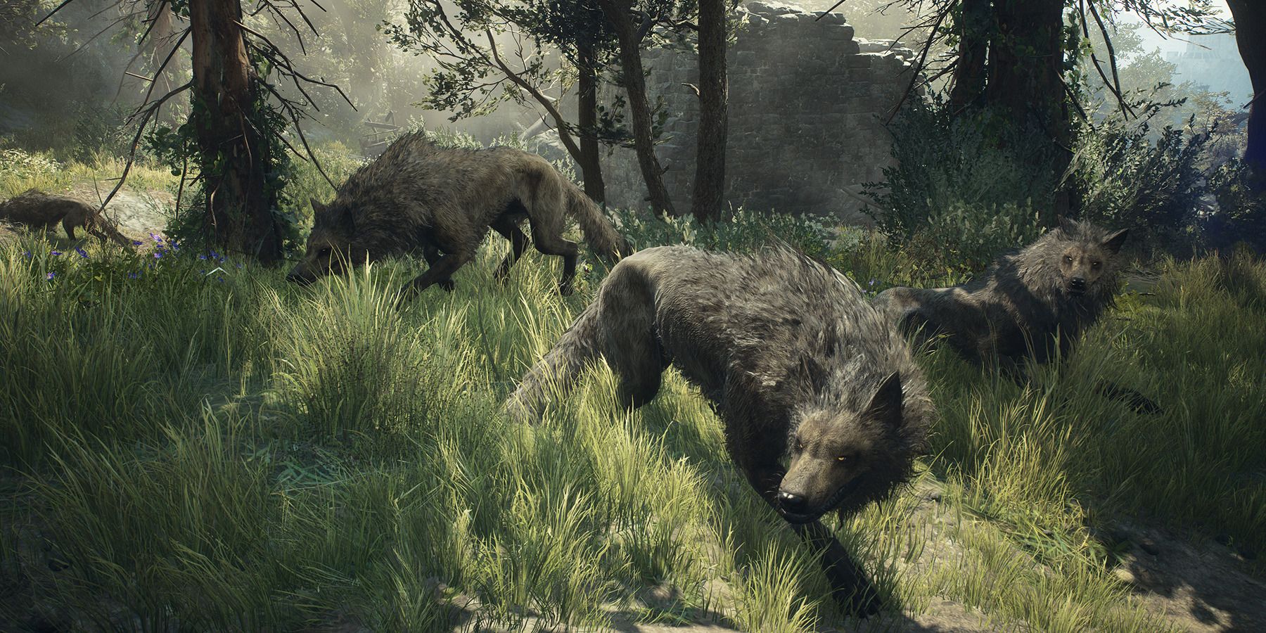 Dragon's Dogma 2 Player Shares Helpful Trick to Take Down Wolves