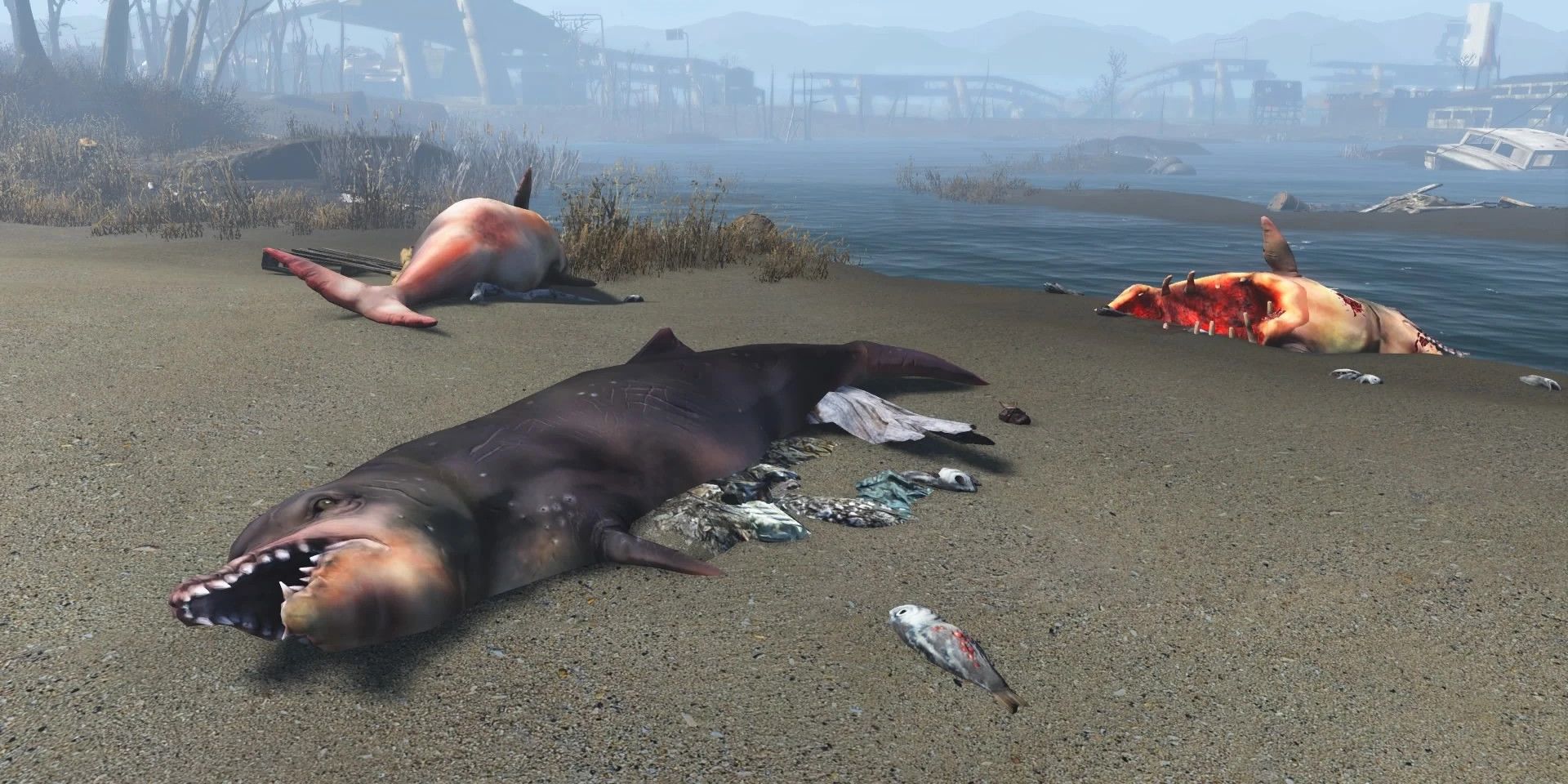 A group of dead whales in Fallout 4