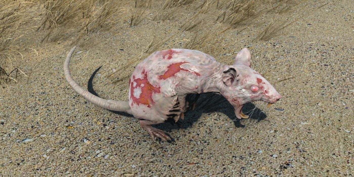An Infected Rad-Rat from Fallout 4