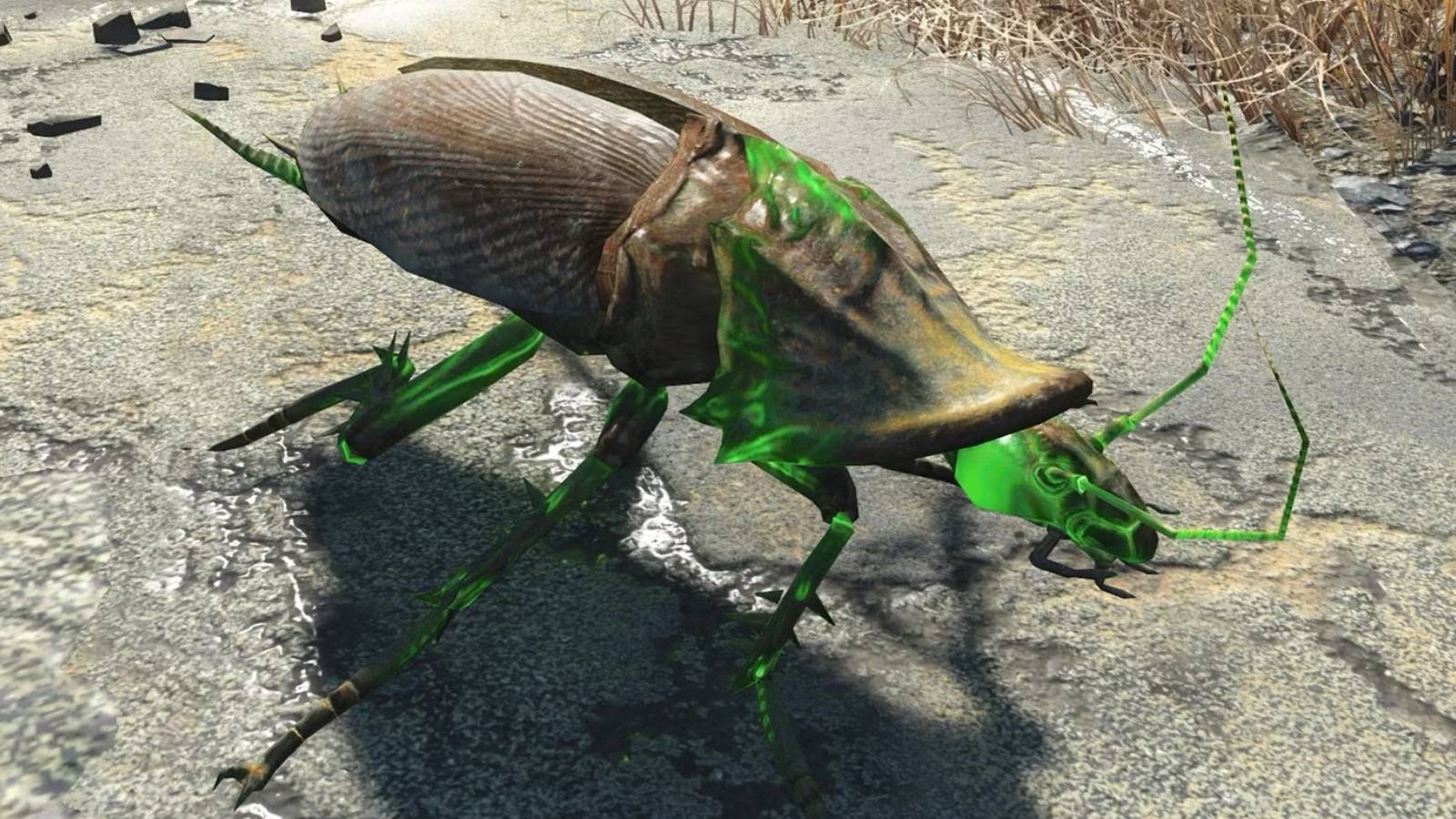 Radroach3d Fallout 4 Radroach Gets 'Armor' in Unexpected Way