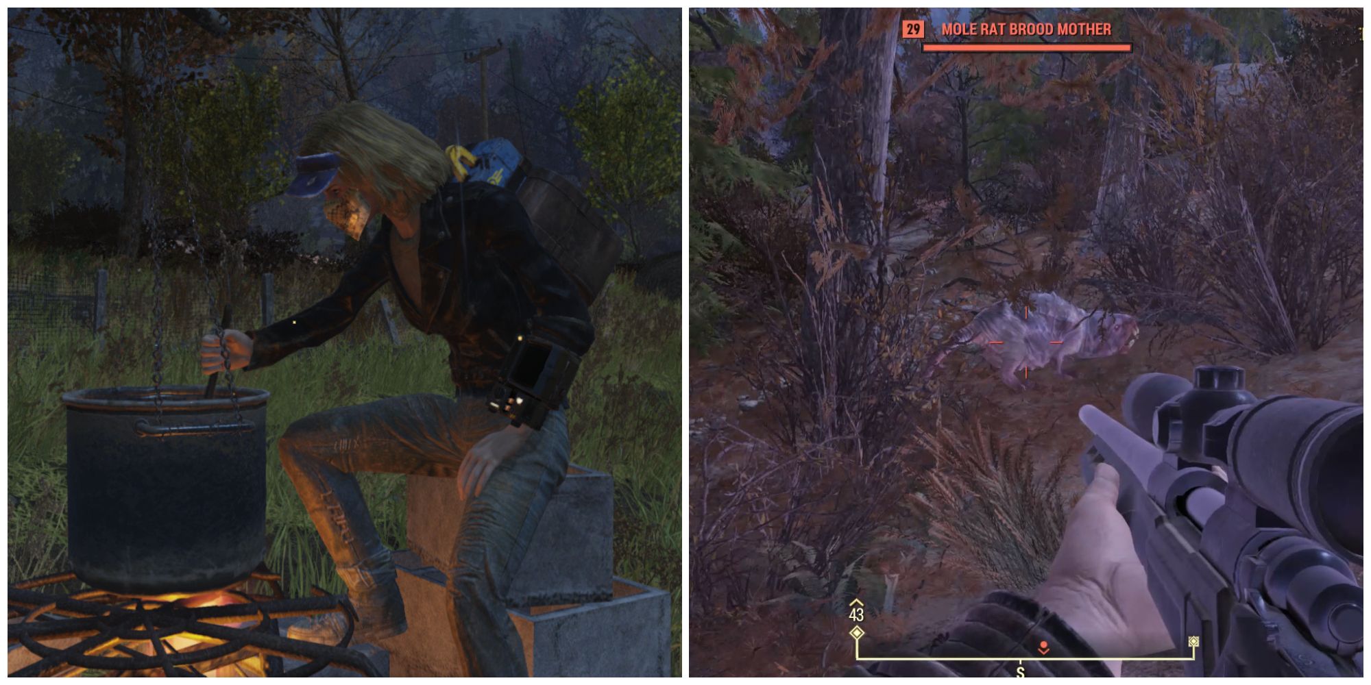 Split image of a character cooking alone and a character defeating mole enemies alone in an event in Fallout 76
