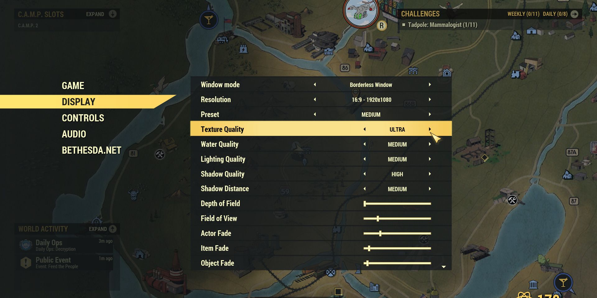 Image of display settings in Fallout 76 to improve frame rate