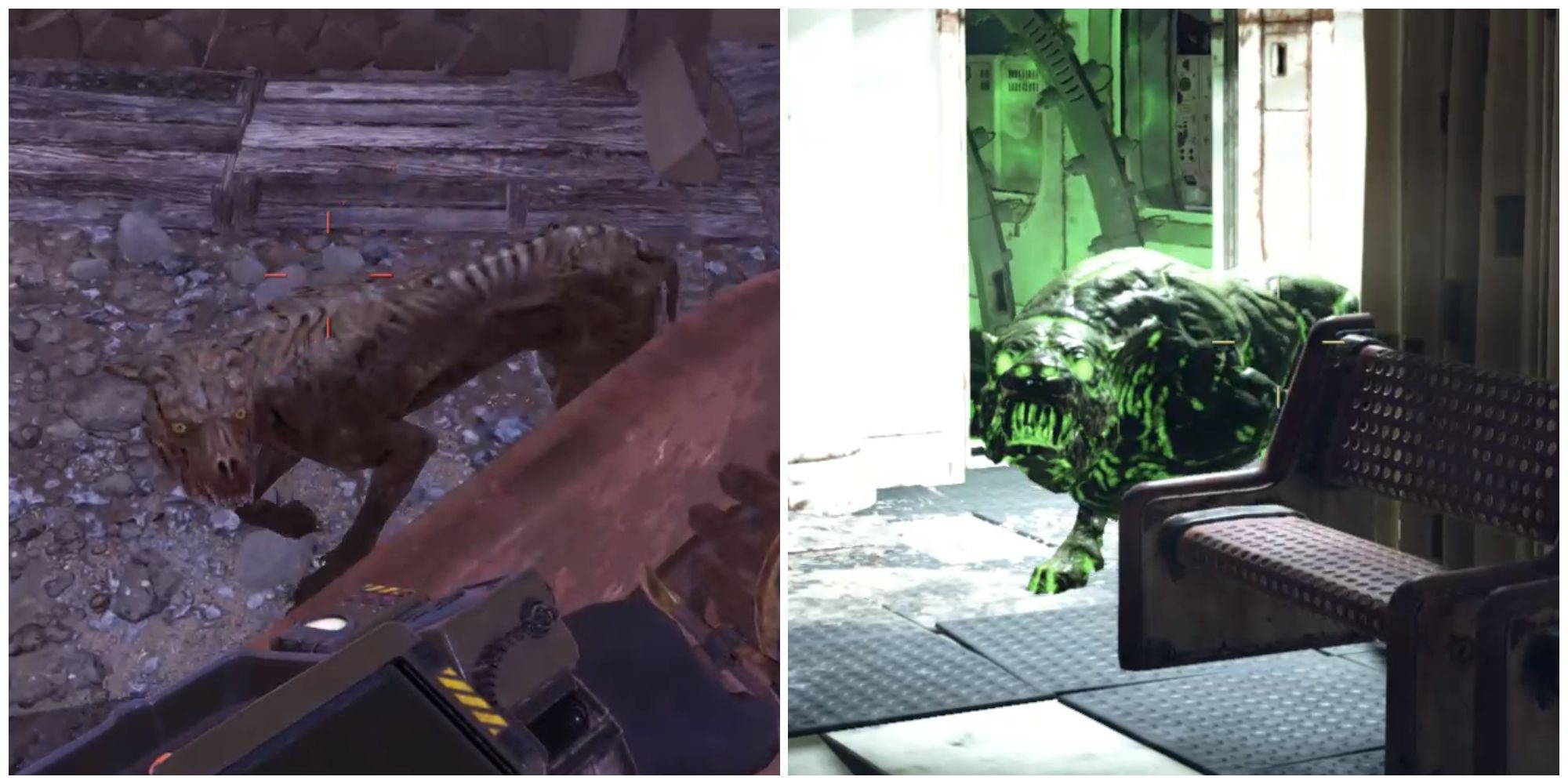 Split image of a feral mongrel and a mutant hound in Fallout 76