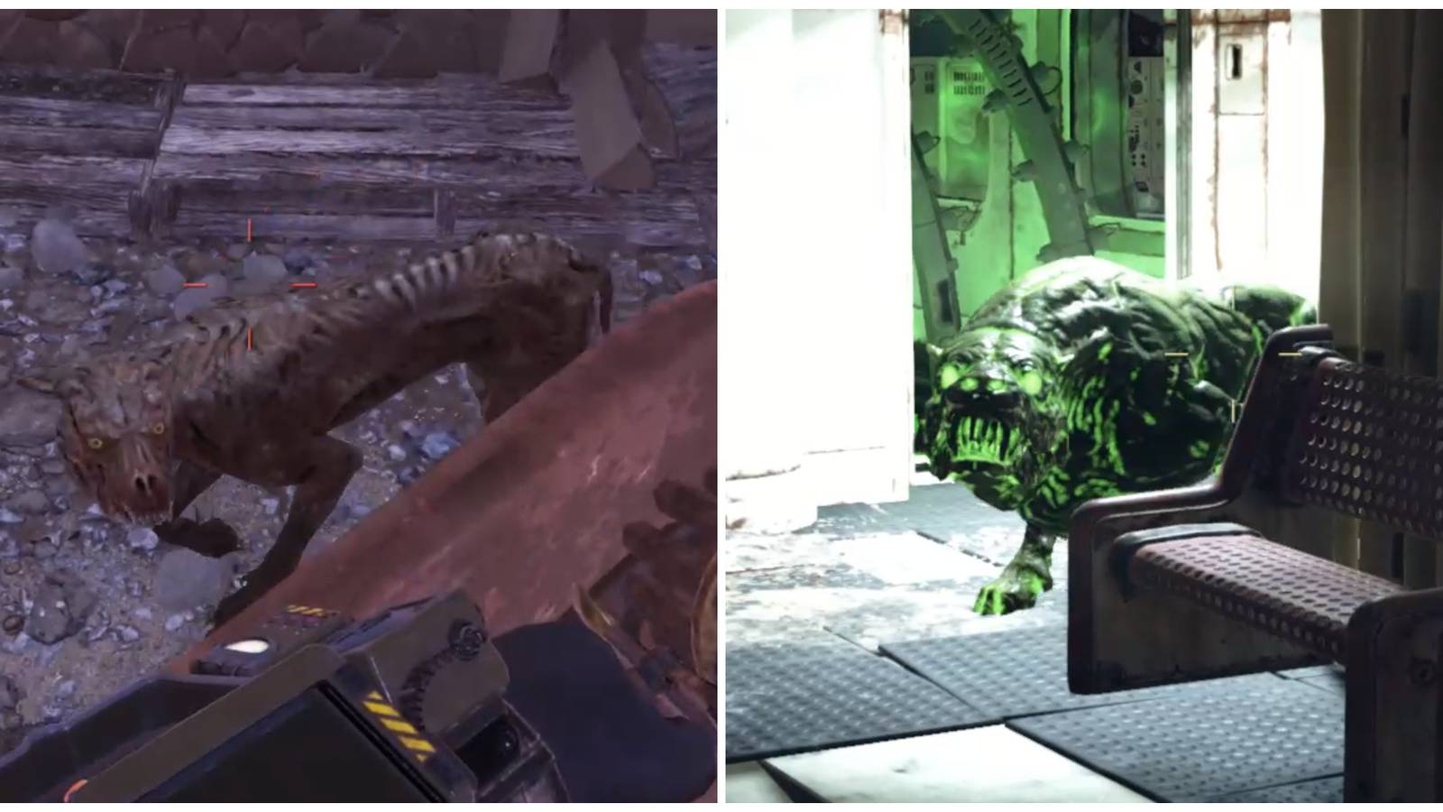 Split image of a feral mongrel and a mutant hound in Fallout 76