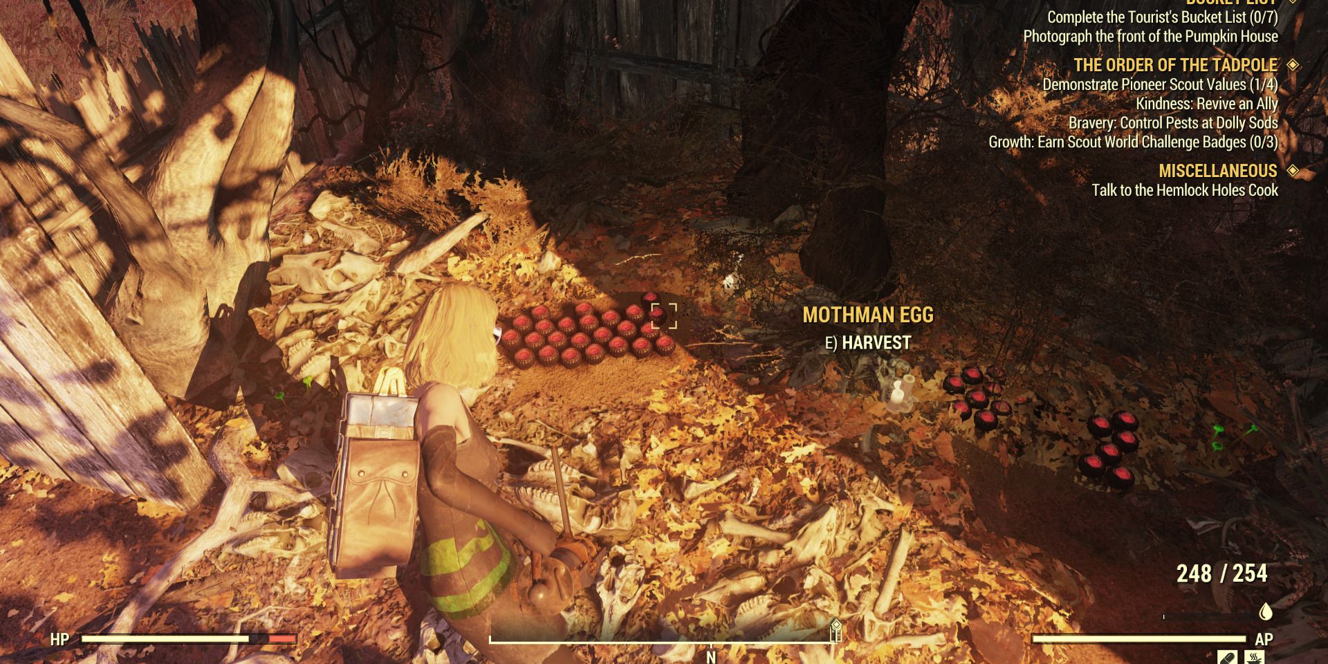 Image of some mothman eggs on the ground in Fallout 76