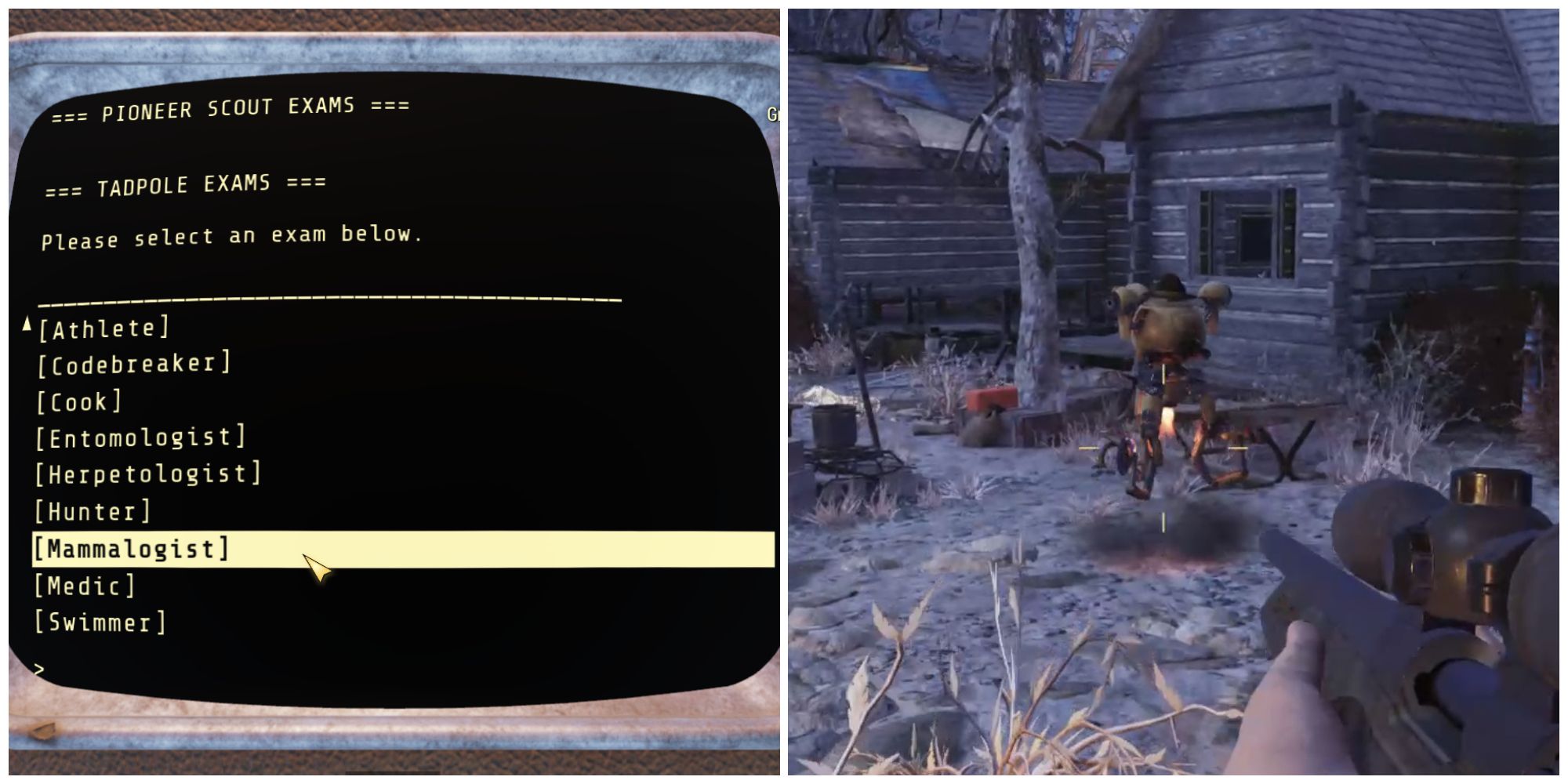 Split image of the pioneer scout exams and scout leader jaggy in Fallout 76