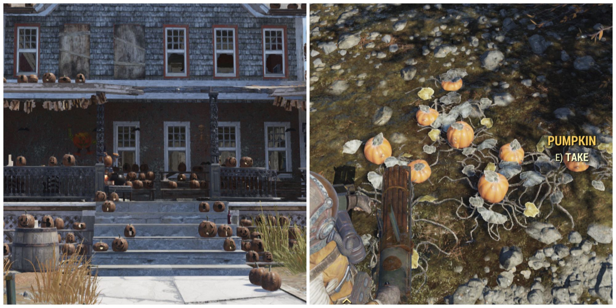 Split image of the pumpkin house and a patch of pumpkins in Fallout 76