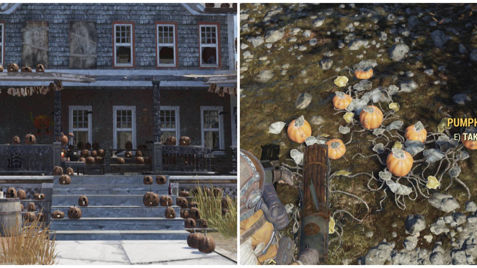 Split image of the pumpkin house and a patch of pumpkins in Fallout 76
