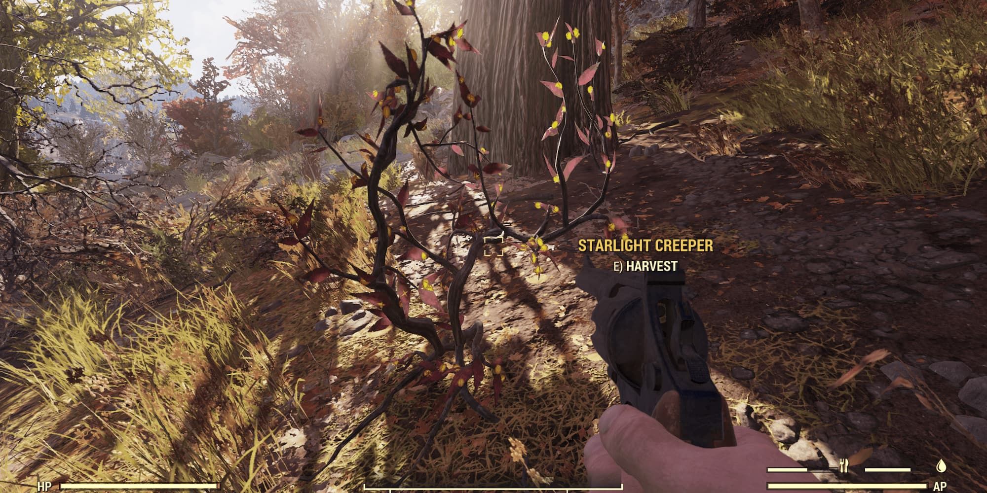 A Starlight Creeper bush in Fallout 76