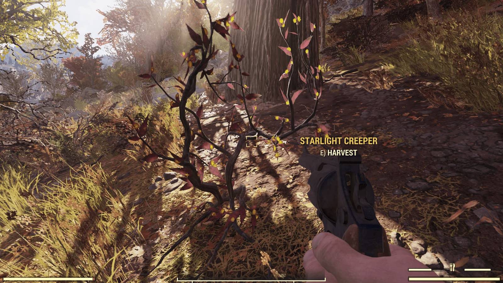 A Starlight Creeper bush in Fallout 76