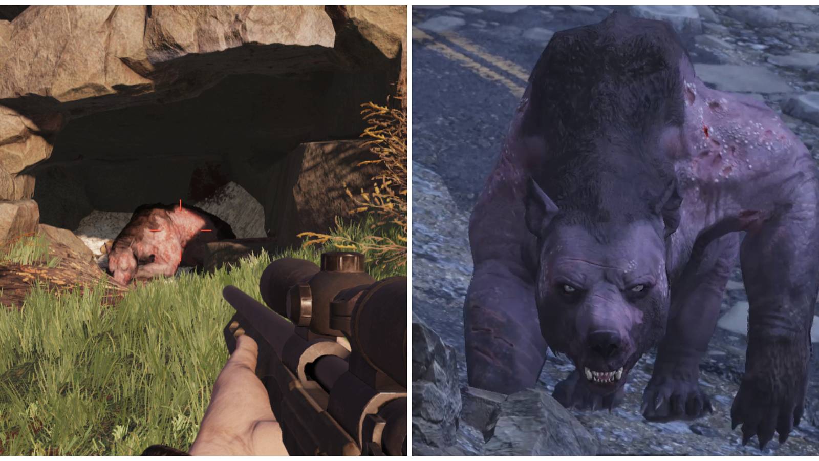Split image of a sleeping Yao Guai and a Stunted Yao Guai in Fallout 76