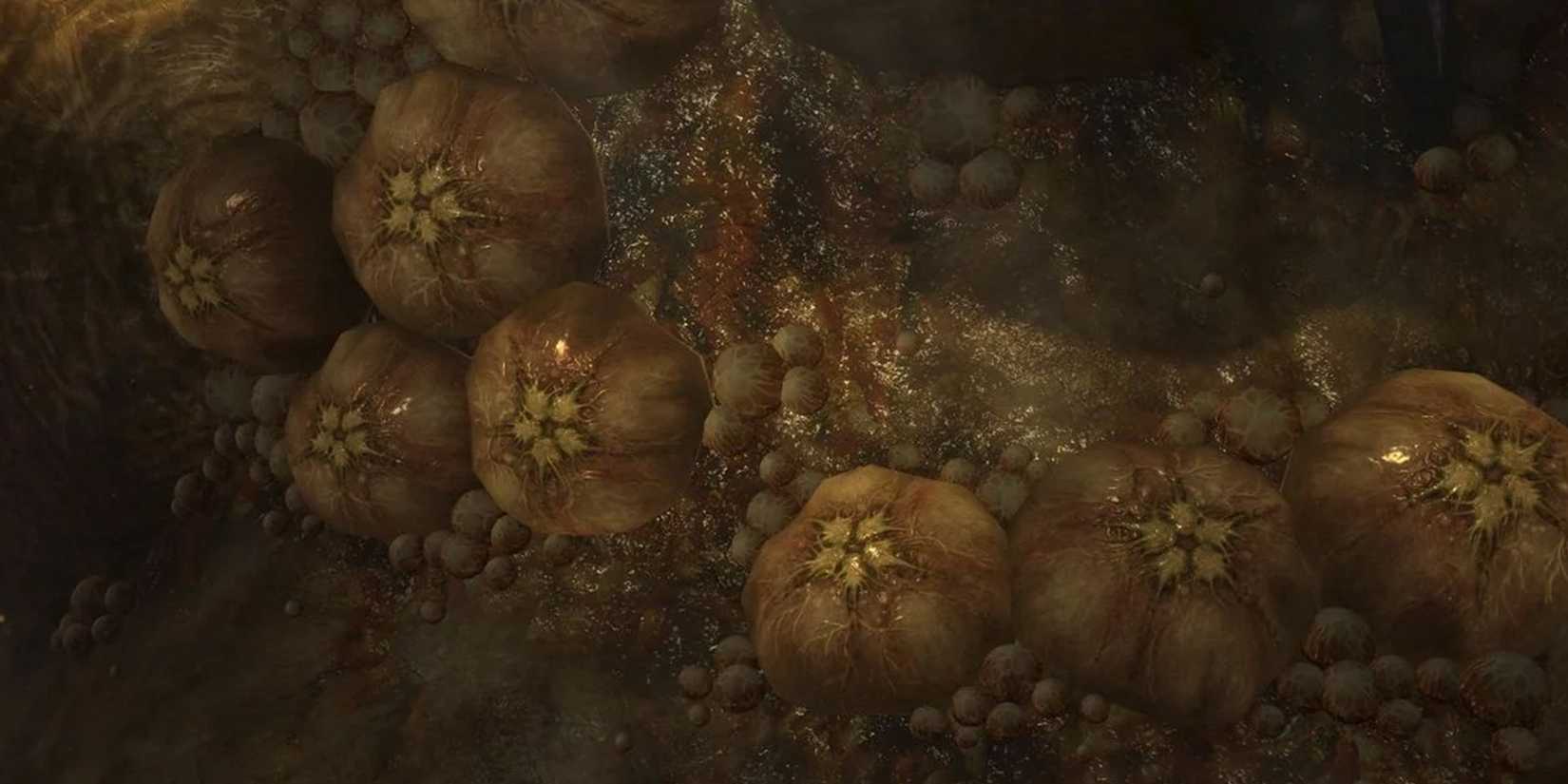 Flood Hive In Halo 3