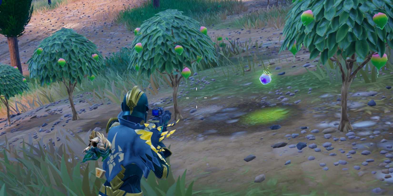 fencing fields flowberry plantation with floor drop berry