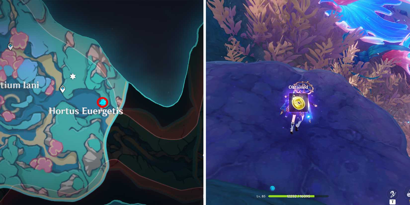 fontaine radinat spincrystal 129 location in genshin impact