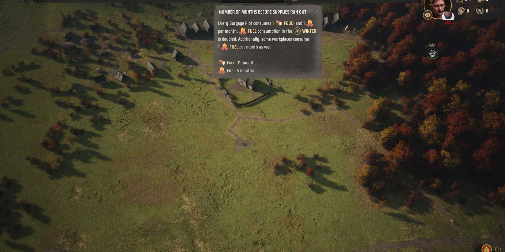 fuel and food supply manor lords